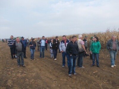 BC kukuruzi u Lovasu