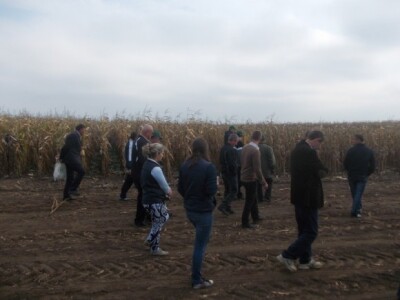 BC kukuruzi u Lovasu