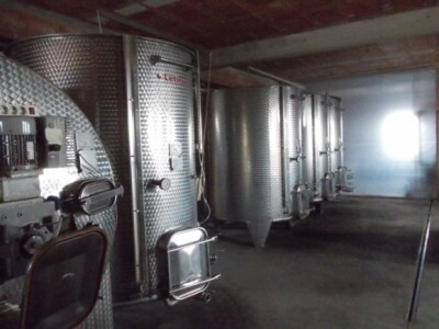 suvremeni podrum s inox bačvama