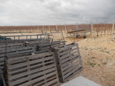 Na ovome se suše smokve