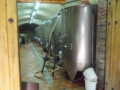 Podrum i vinograd Pere Kusića