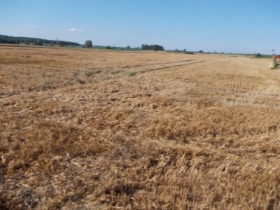 integrirana ratarska proizvodnja