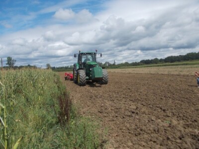 Oprisavci na poljima Oprisavci na poljima