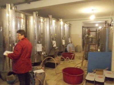 aktualni radovi u podrumu