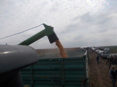 BC kukuruzi u Lovasu