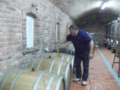 Podrum i vinograd Pere Kusića