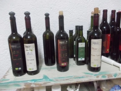Vina