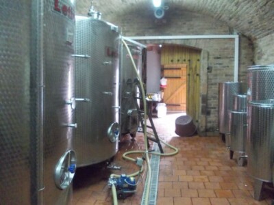 Podrum i vinograd Pere Kusića