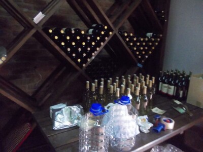 Podrum i vinograd Pere Kusića