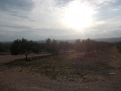 sunce i zemlja