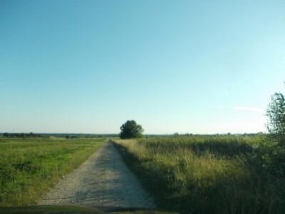 integrirana ratarska proizvodnja