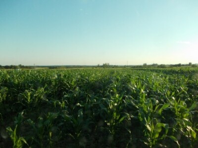 integrirana ratarska proizvodnja