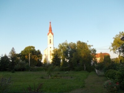 Jabuke i škrlet Jabuke i škrlet