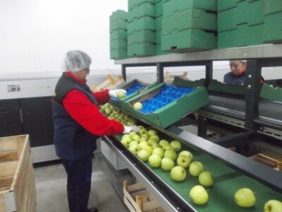 ULO hladnjača Lipik