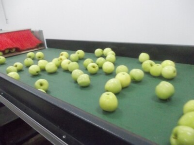 ULO hladnjača Lipik