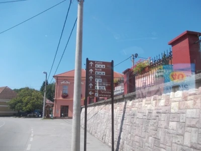 podrum i vinograd Žižek