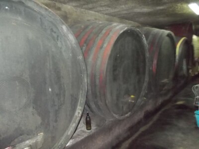 podrum i vinograd Žižek podrum i vinograd Žižek