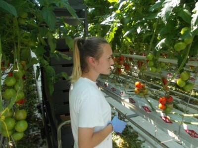 Manja upotreba kemikalija