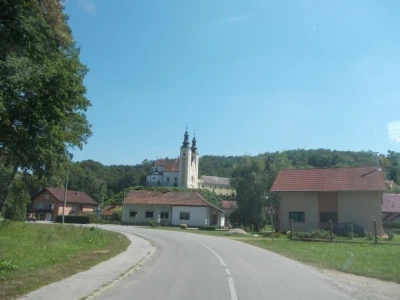 podrum i vinograd Žižek