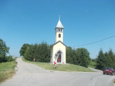 podrum i vinograd Žižek