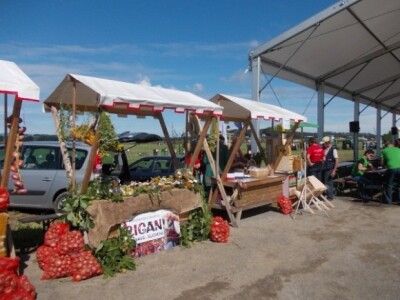 natjecanje orača u Sloveniji natjecanje orača u Sloveniji