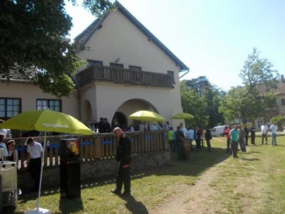 Ovčare