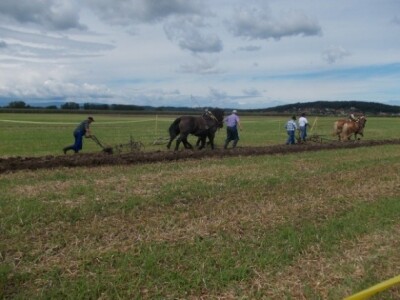 natjecanje orača u Sloveniji natjecanje orača u Sloveniji