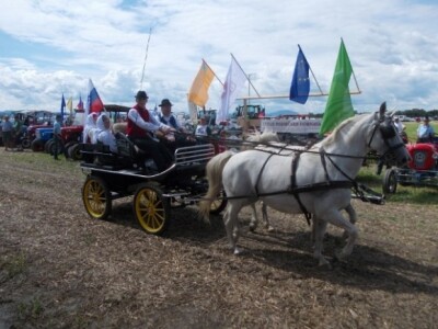 natjecanje orača u Sloveniji natjecanje orača u Sloveniji