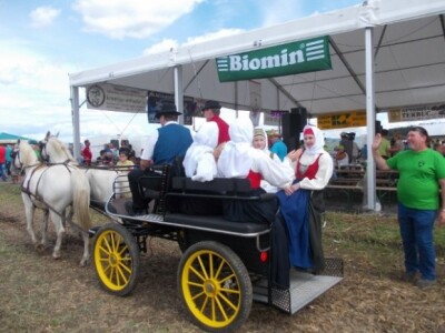 natjecanje orača u Sloveniji natjecanje orača u Sloveniji