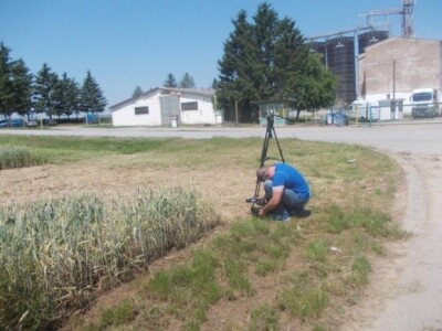 Dani polja strnih žita BC Instituta u Lovasu Dani polja strnih žita BC Instituta u Lovasu