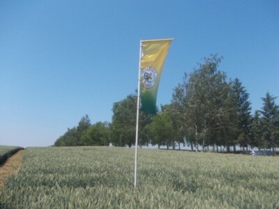 Dani polja strnih žita BC Instituta u Lovasu Dani polja strnih žita BC Instituta u Lovasu