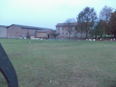 Kuća Mazzottijevih uz tvornicu