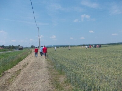 Strna žita u ekstremnim uvjetima