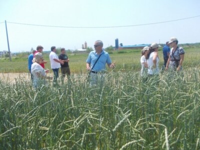 Ekstremni uvjeti i kvaliteta usjeva