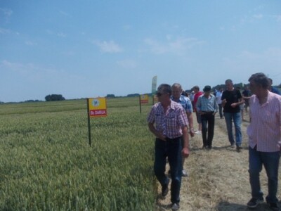 Ekstremni uvjeti i kvaliteta usjeva