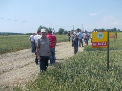 BC institut Staro Topolje