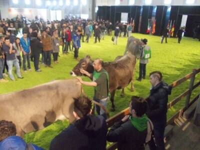 Svinjogojci u Sloveniji i Veroni