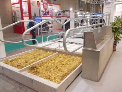 Svinjogojci u Sloveniji i Veroni