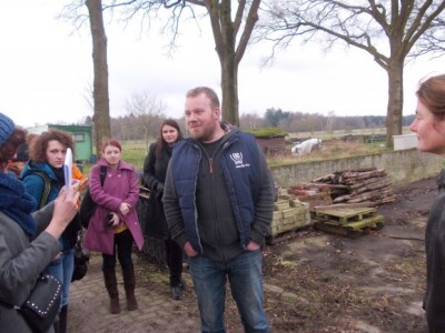 Farma krava u Nizozemskoj