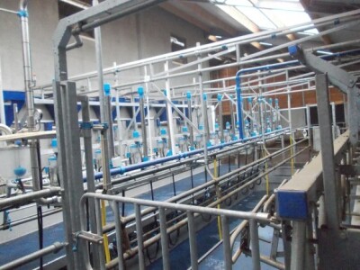 Farma krava u Nizozemskoj