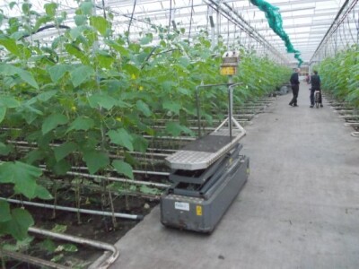 eko paprike, krastavci i rajčica iz Nizozemske