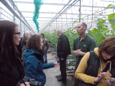 eko paprike, krastavci i rajčica iz Nizozemske