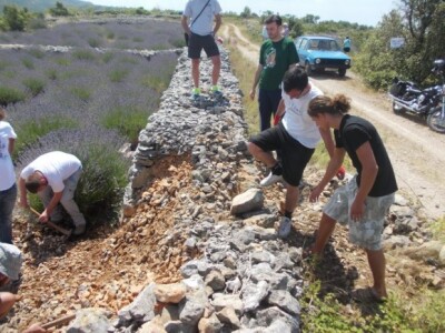 Aktivni članovi udruge su brojnim turistima i domaćim ljudima na Hvaru pokazali osnove rada suhozida Aktivni članovi udruge su brojnim turistima i domaćim ljudima na Hvaru pokazali osnove rada suhozida