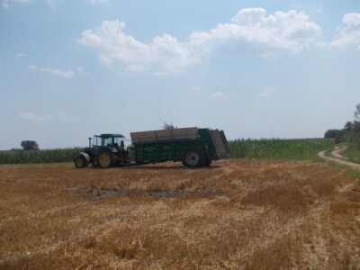 Karbokalk u Punitovcima
