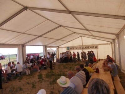 Oranje u Magadenovcu