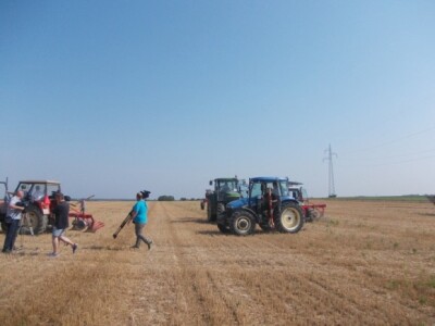 Oranje u Magadenovcu