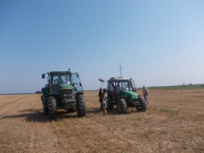 Oranje u Magadenovcu