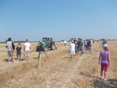 Oranje u Magadenovcu