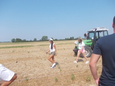 Oranje u Magadenovcu