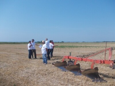 Oranje u Magadenovcu